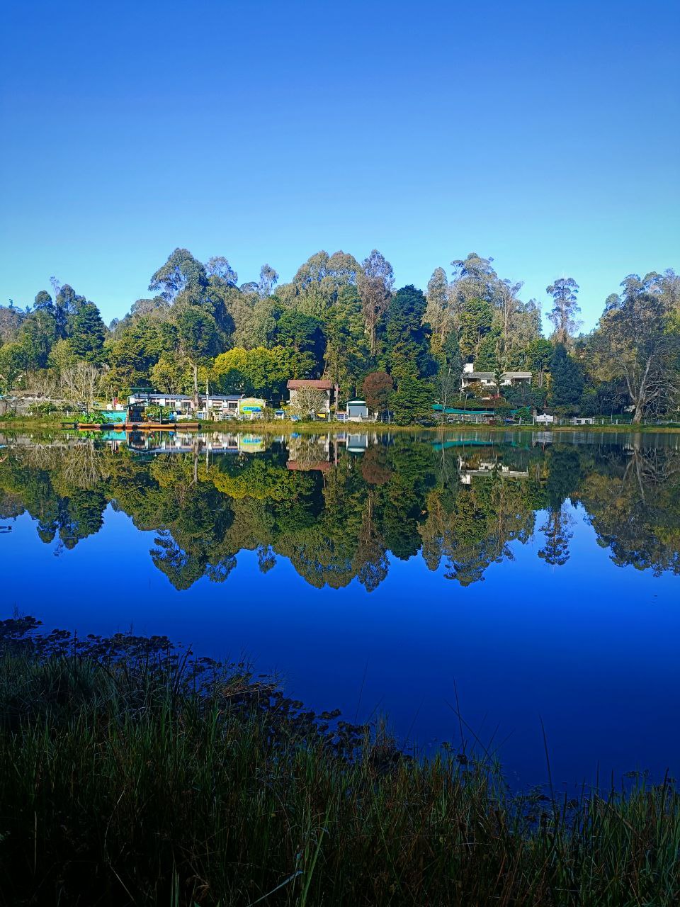 Serene view from Jenova Homestays cottages in Vattakanal